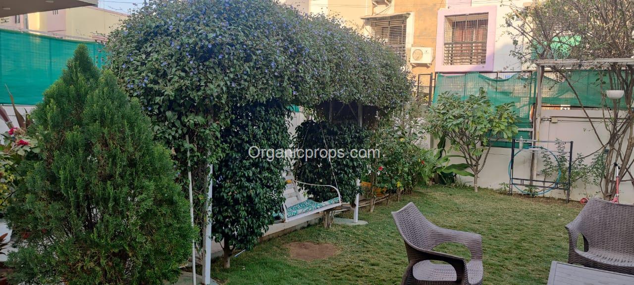 WhatsApp Image 2023-02-09 at 220230209180005983.jpeg